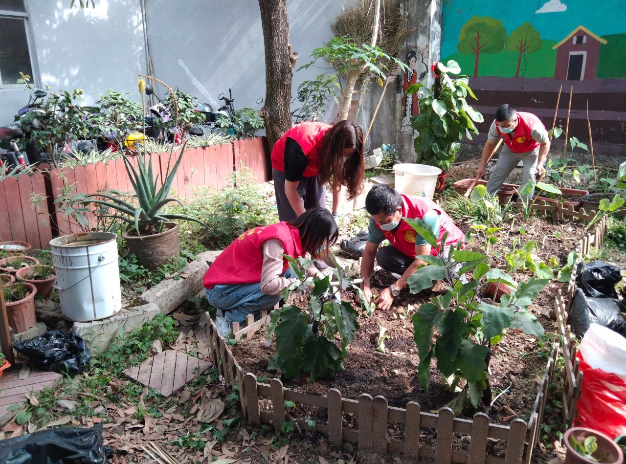 【黨建】新動力展覽入黨積極分子參加吉華街道開展的“珍惜資源永續(xù)利用，綠化環(huán)境凈化心靈”主題黨日志愿活動(圖2)